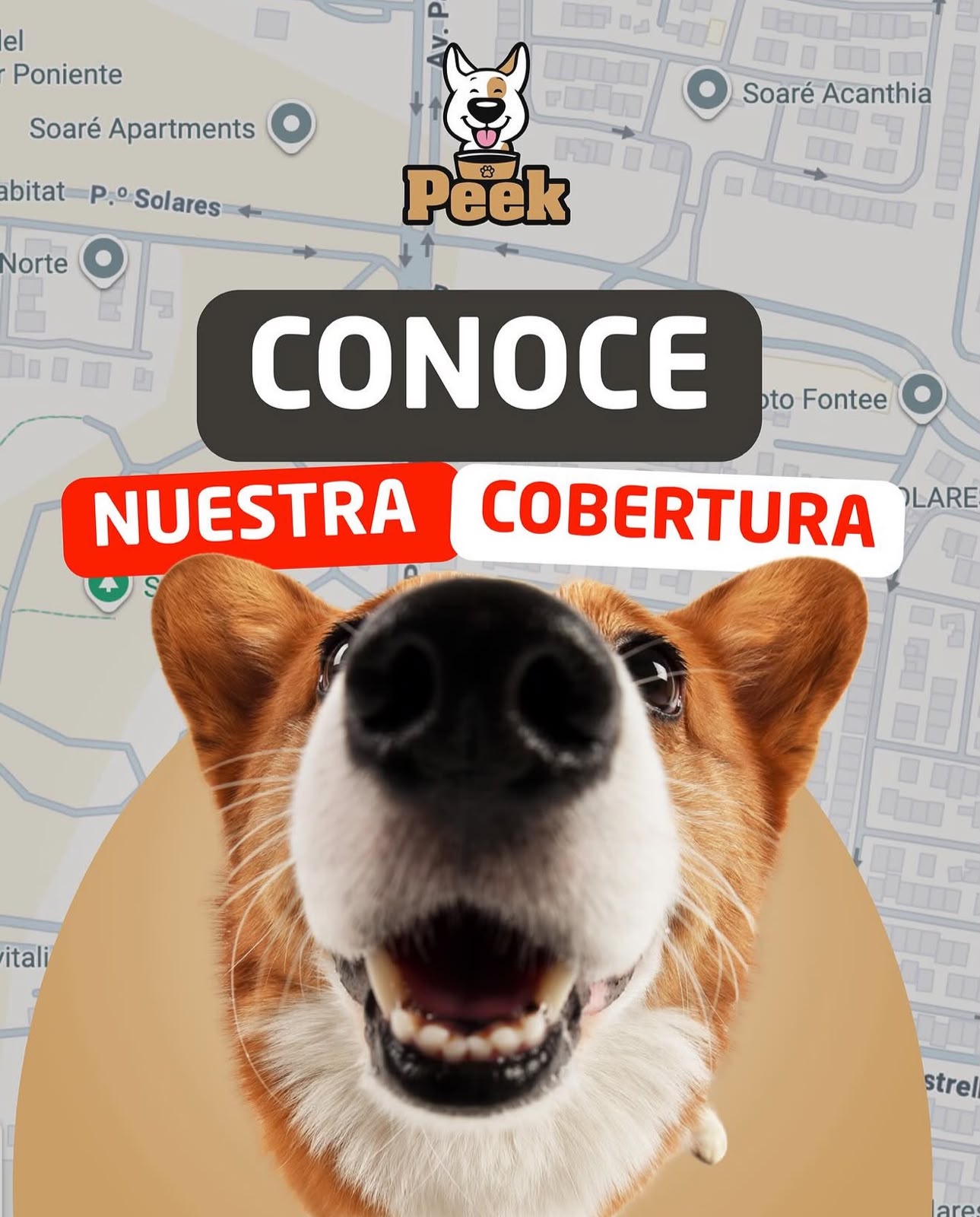Cobertura de Peek a domicilio
